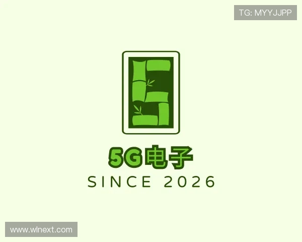 了解5G电子